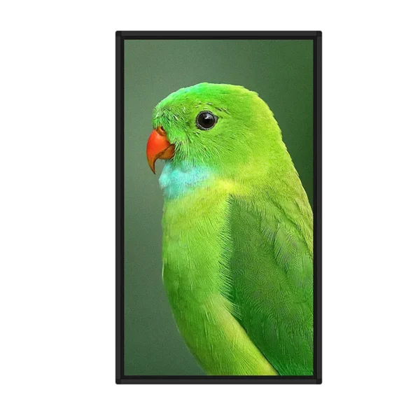 65" Wall Mounting Digital Signage - Image 5